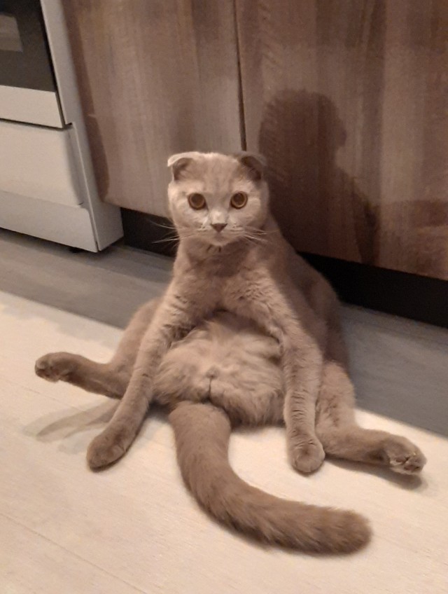 Пополнение...