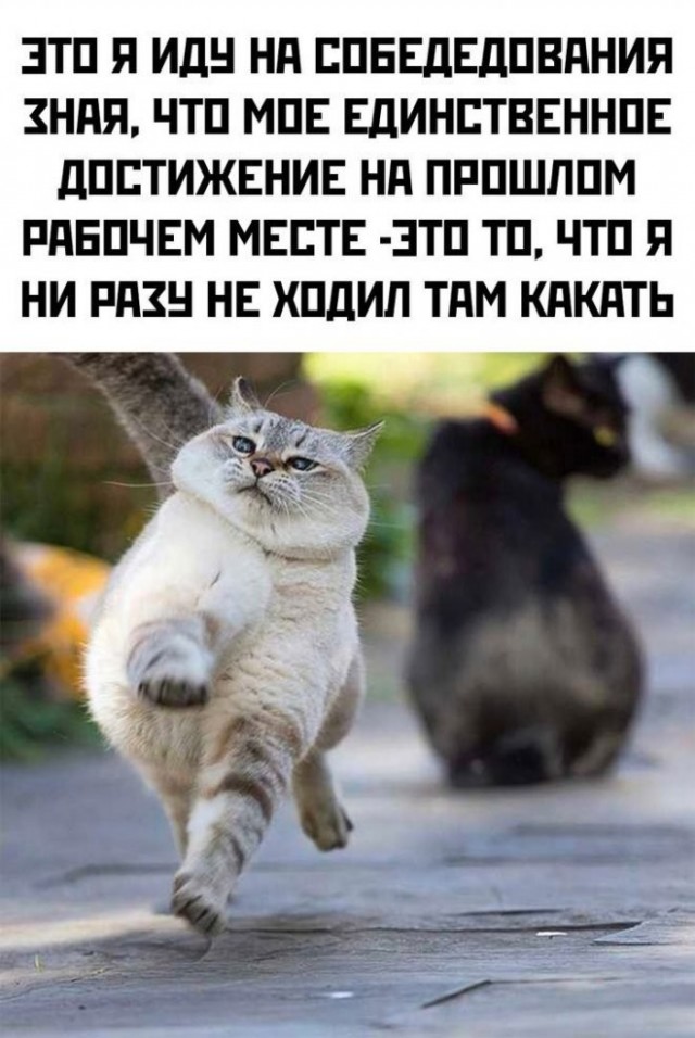 Скриншоты и комментарии из социальных сетей 12.05.23