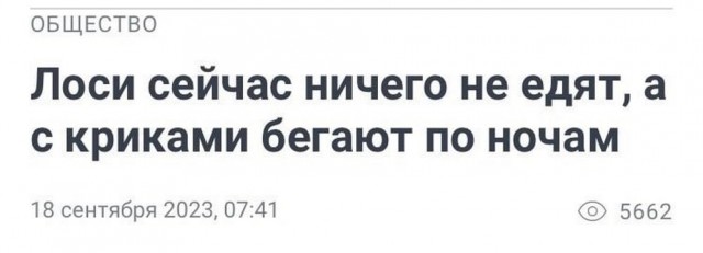 Приколы в понедельник