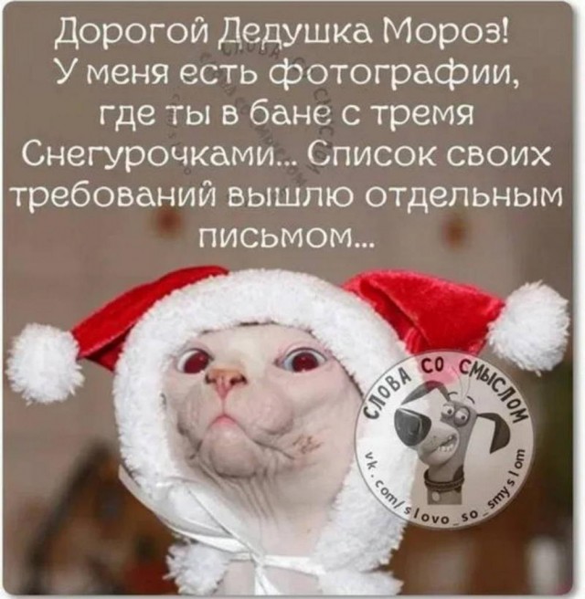 Всего понемногу. От 18.12.23