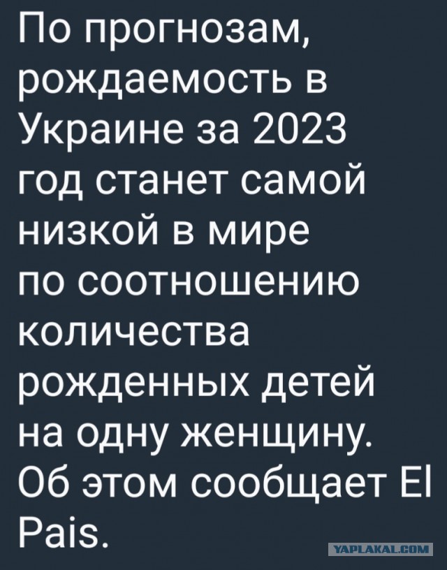 Московский имам завил о великой демографической миссии мусульман в России