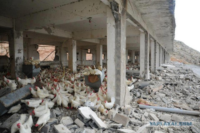 Израильские ВВС нанесли удар по Сирии