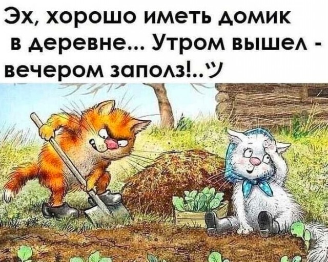 Весёлый полтишок 08.04.24
