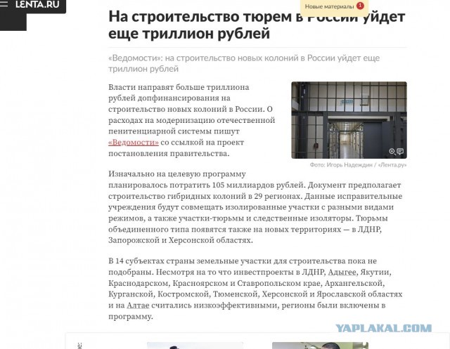 Российские врачи написали открытое письмо, в котором потребовали освободить из-под ареста врача Надежду Буянову