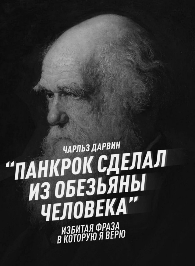 Картинки от Scodero