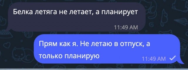 Всего понемногу. От 24.07.24