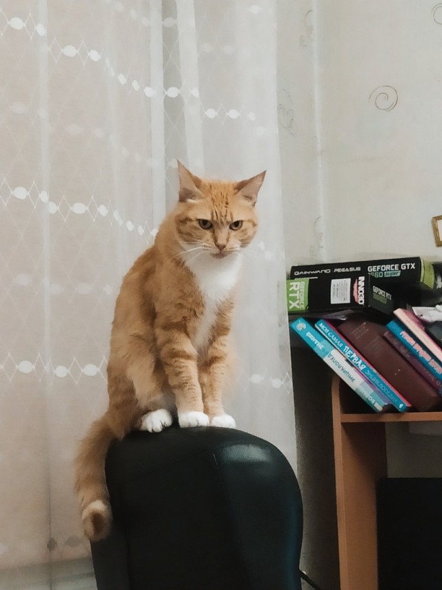 Вот и я стал рабом