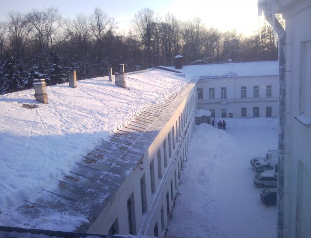 Какой проворный