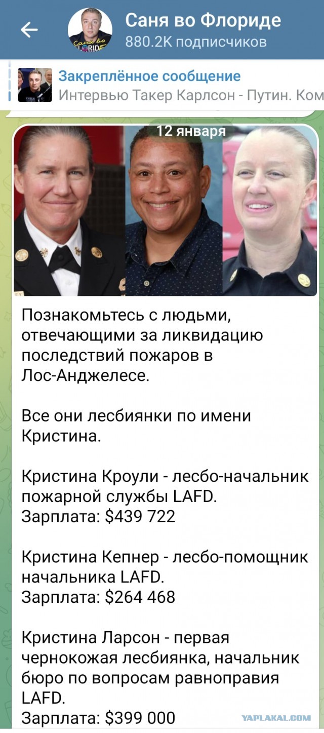 На злобу дня