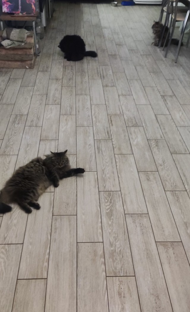 Похоже меня сейчас на корм пустят.