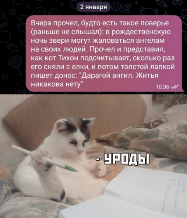 К котовторнику: подборка картинок-баянов с котиками и про котиков. Выпуск 2.