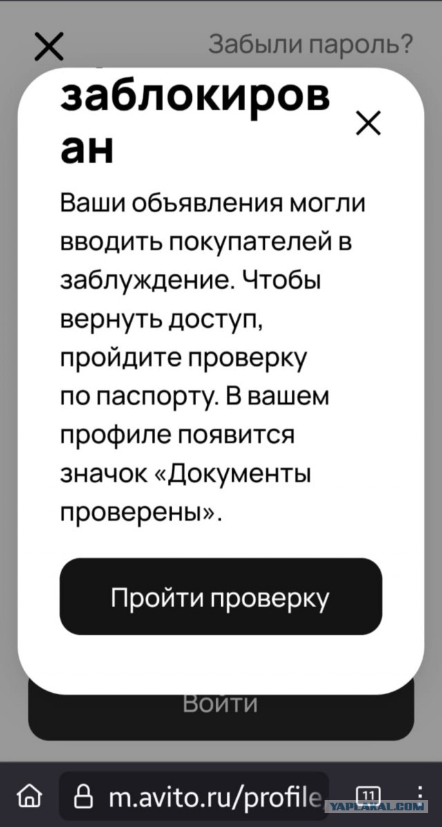 Авито у меня порвито пуканито
