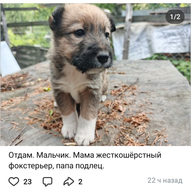 Хороший комментарий