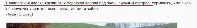Крош
