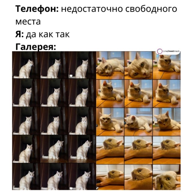 Картинки для деградации 44 (разной степени свежести)