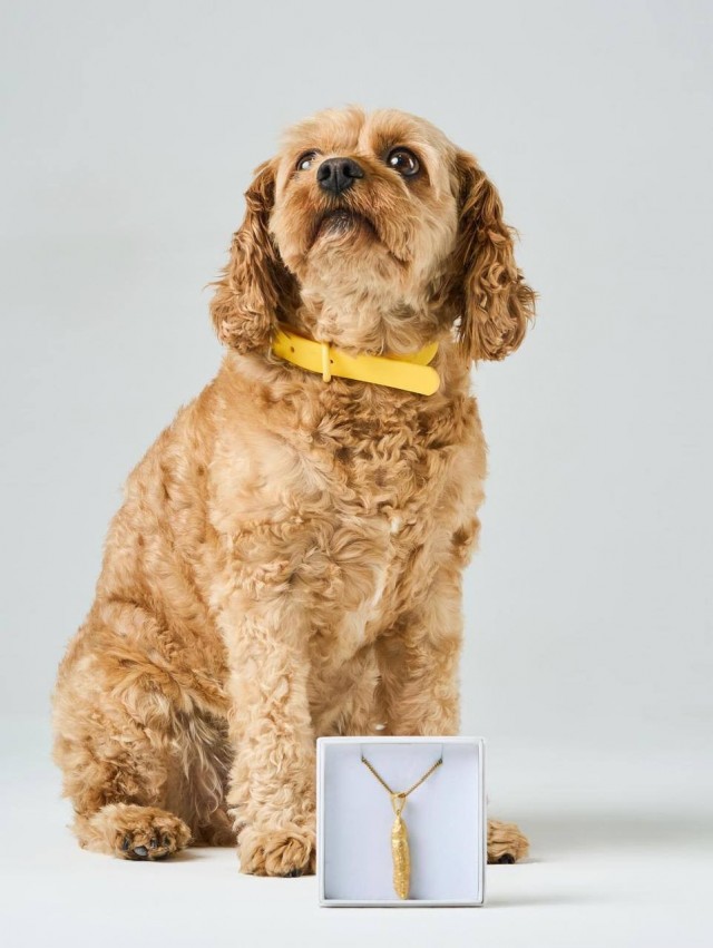 Украшения из собачьих...создает бренд Butternut Box