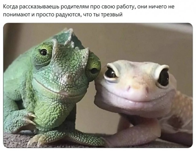 Картинки для деградации 48 (разной степени свежести)