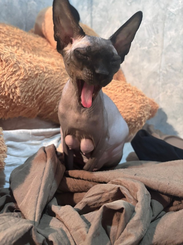 Доброе Утро!