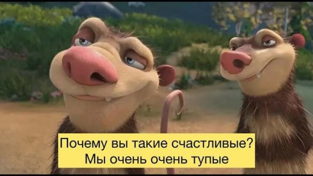 Молодёжь массово
и необратимо тупеет