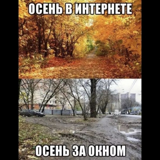Небаянистая деградация 2