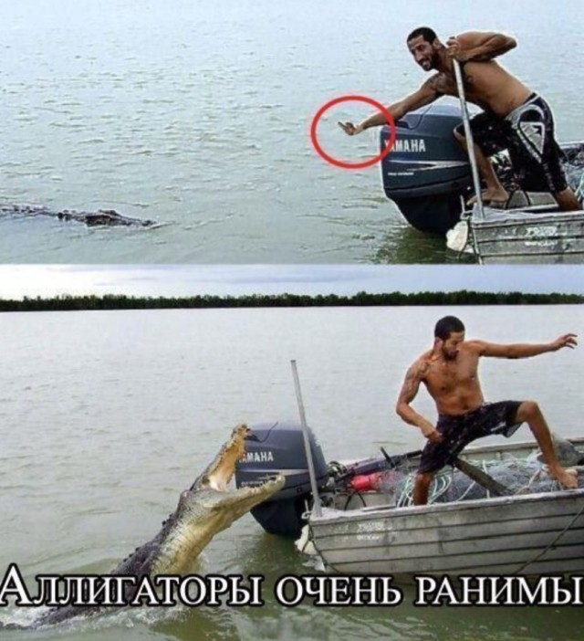 Отсутствие морально этических норм Vol.55