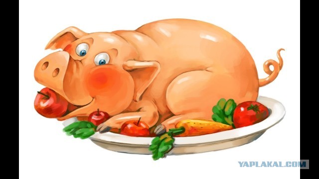 Полюби меня сзади, а спереди привыкнешь