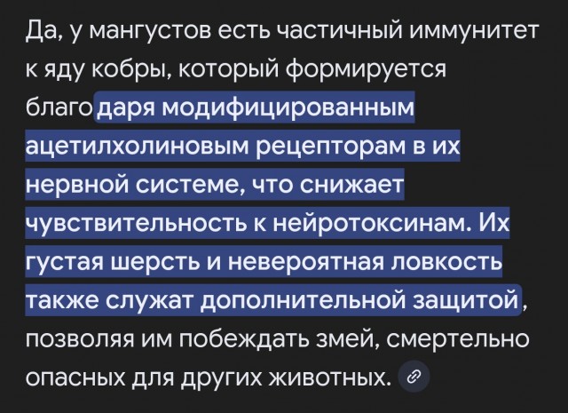 Рикки Тикки Тави
