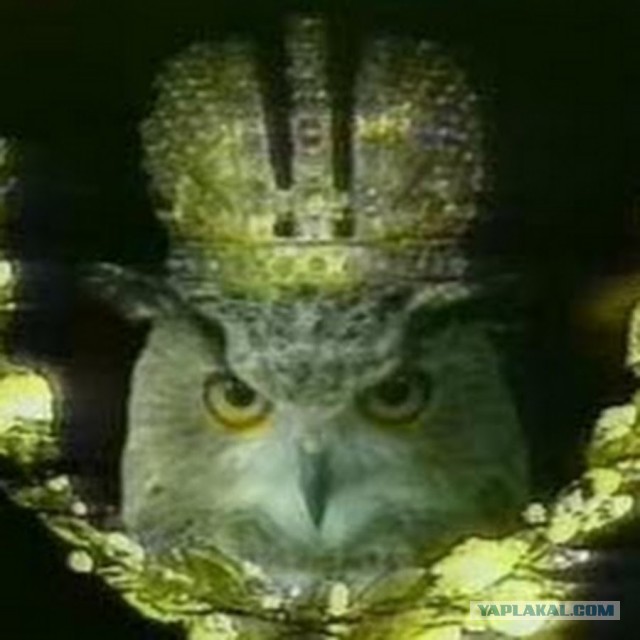 Кого наказывать за женскую измену?