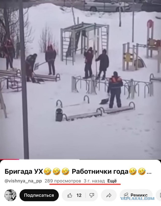Служба по трудоустройству в Нью-Дели сообщила, что в Россию уже привезли больше 70 000 гастарбайтеров