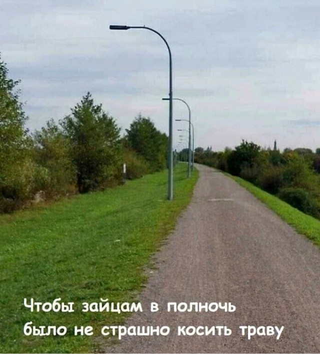 Воскресные картинки