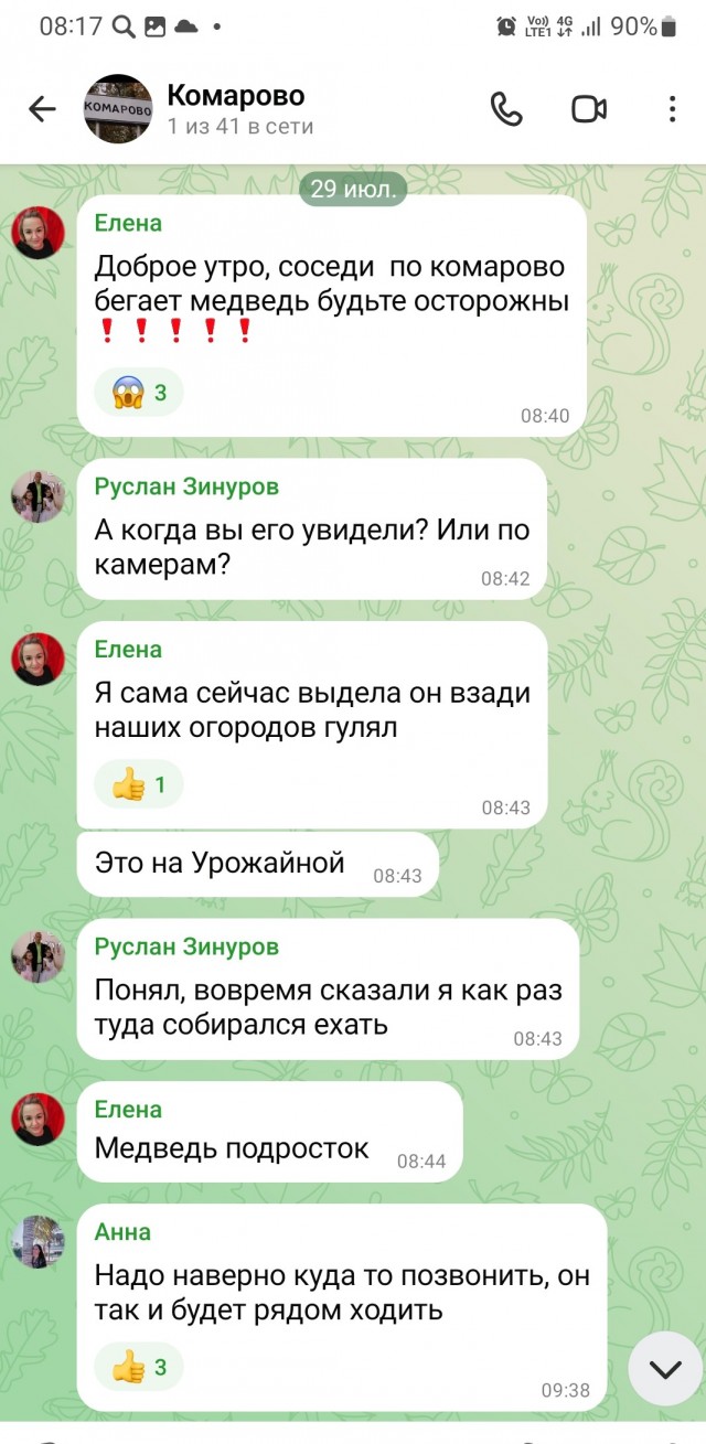 Медведи по улицам?