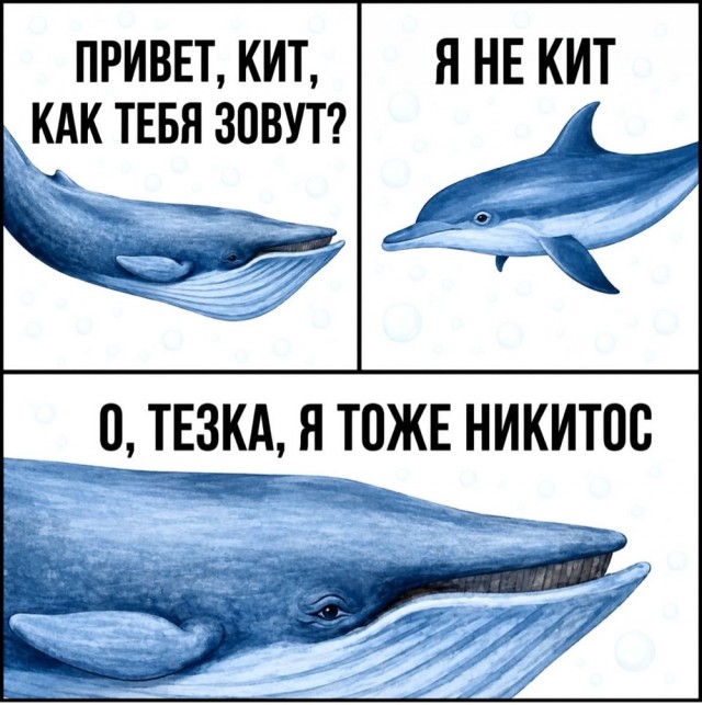 Картинки для деградации 265 (разной степени свежести)