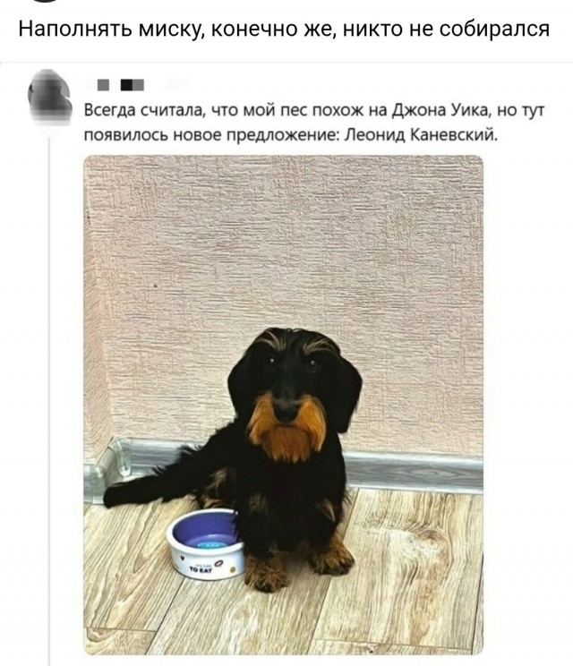Веселые картинки в последний день лета (31.08)