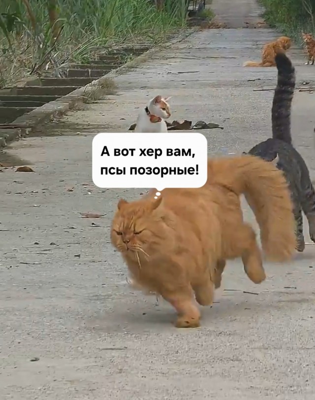 Портос и гвардейцы кардинала