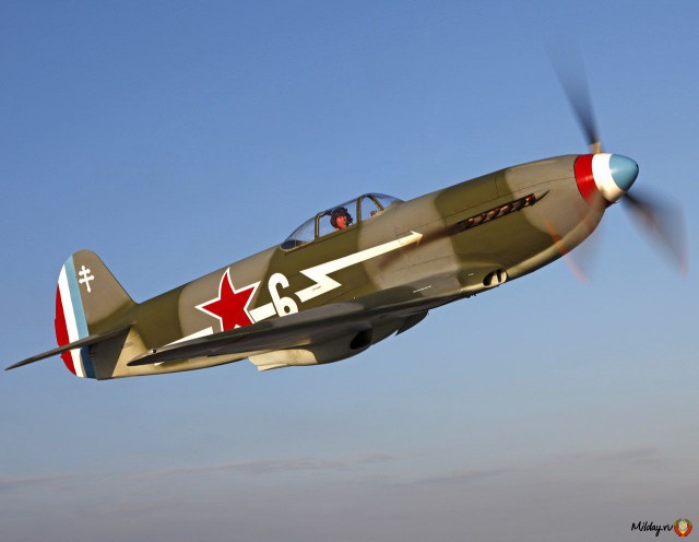 Wargaming 11