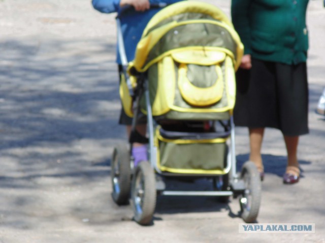 Подборка фото с референдума