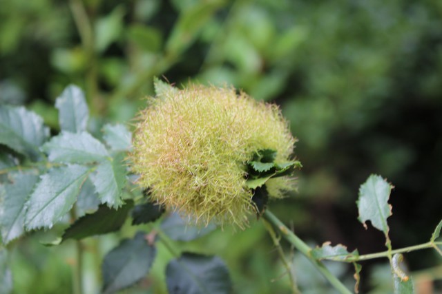 Отчёт о поездке в Крым 12.07 - 29.07