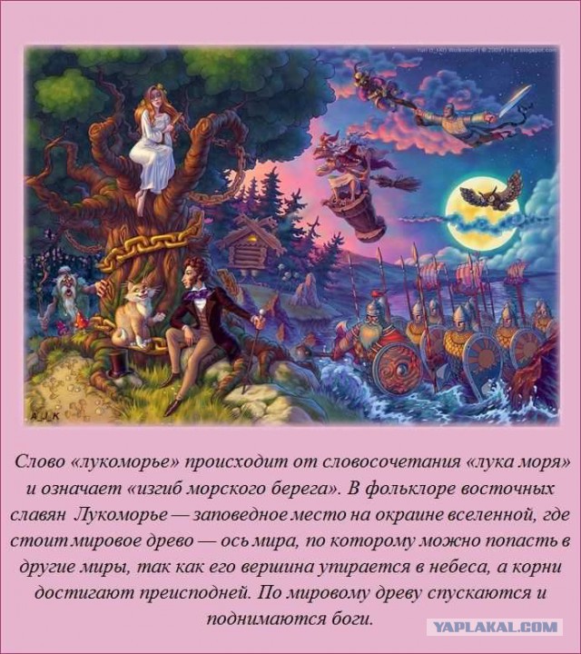 20 фактов обо всем