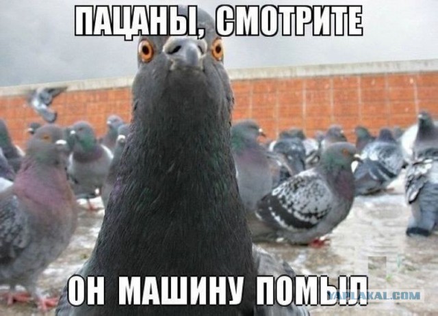 А рука так и тянется