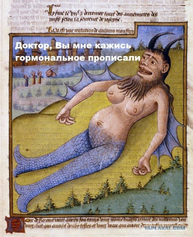 Забавные картинки из сети