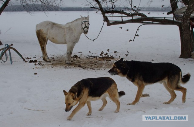 Деревня