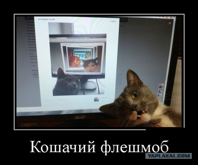 Картинки с просторов на четверг