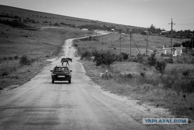 Моё увлечение фотографией