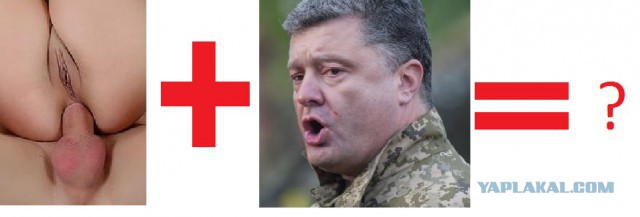 Порошенко и Путин пожали друг другу руки