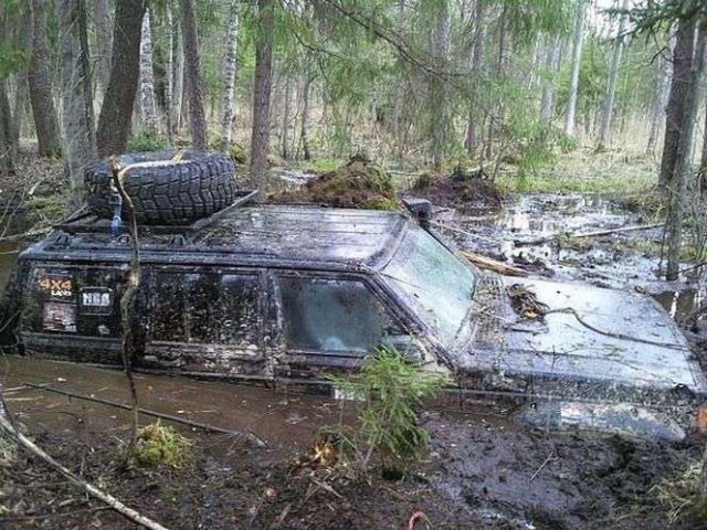 Подборка автоприколов.