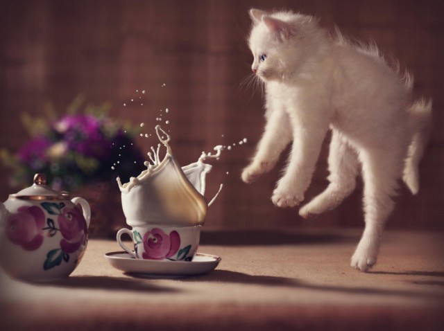 Под вечер, вторника.