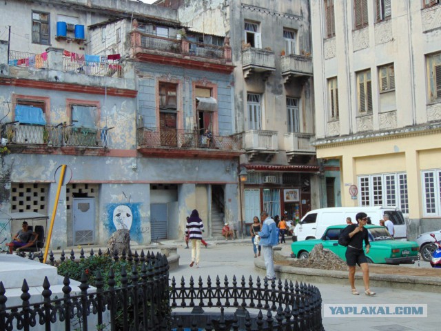 50 на 50: даже не верится, что это части одной фотографии