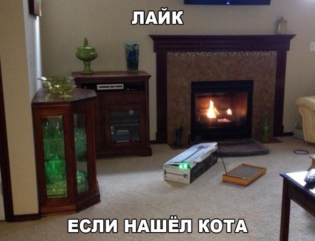 Прикольные животные