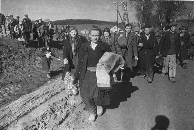 Берлинская операция. Апрель - май 1945 года.