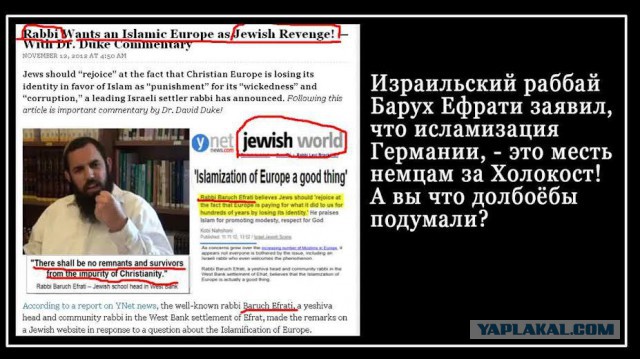 Немцы будут питаться объедками, от которых откажутся "беженцы"